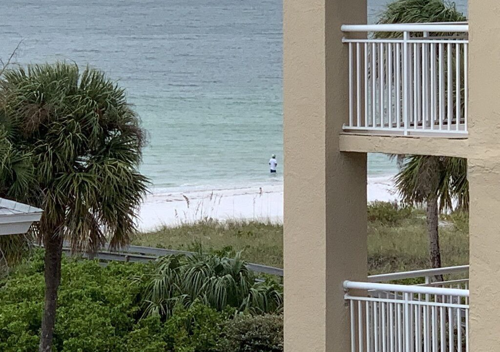Photo of Outdoor in Indian Rocks Beach