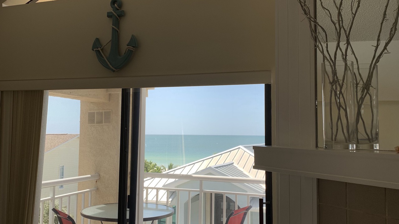 Photo of Others in Indian Rocks Beach