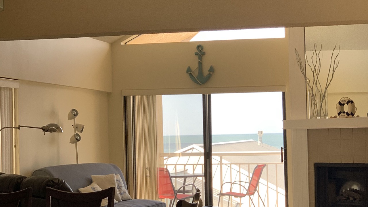 Photo of Others in Indian Rocks Beach