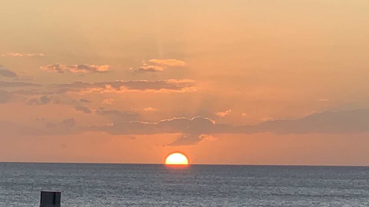 Photo of Others in Indian Rocks Beach