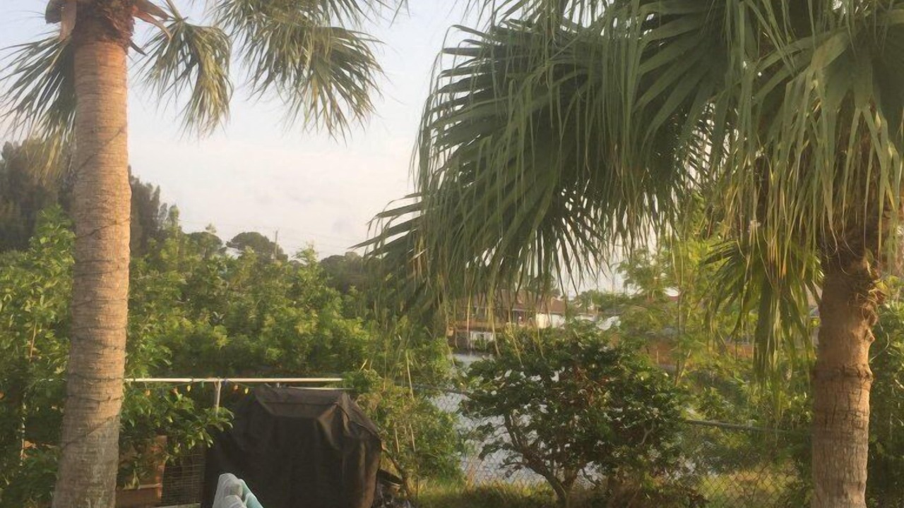 Photo of Outdoor in Warm Mineral Springs