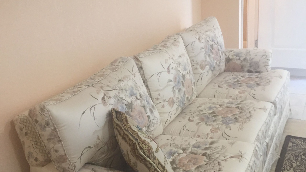 Photo of Livingroom in Warm Mineral Springs