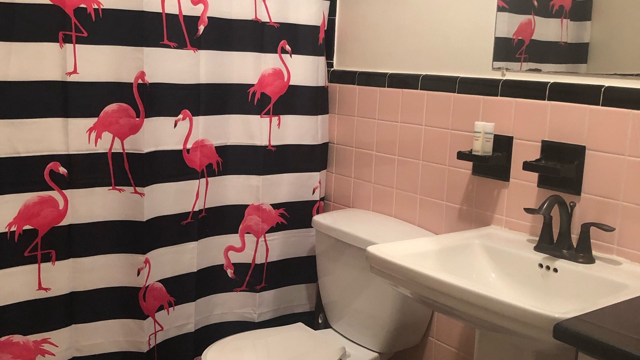 Photo of Bathroom in Largo