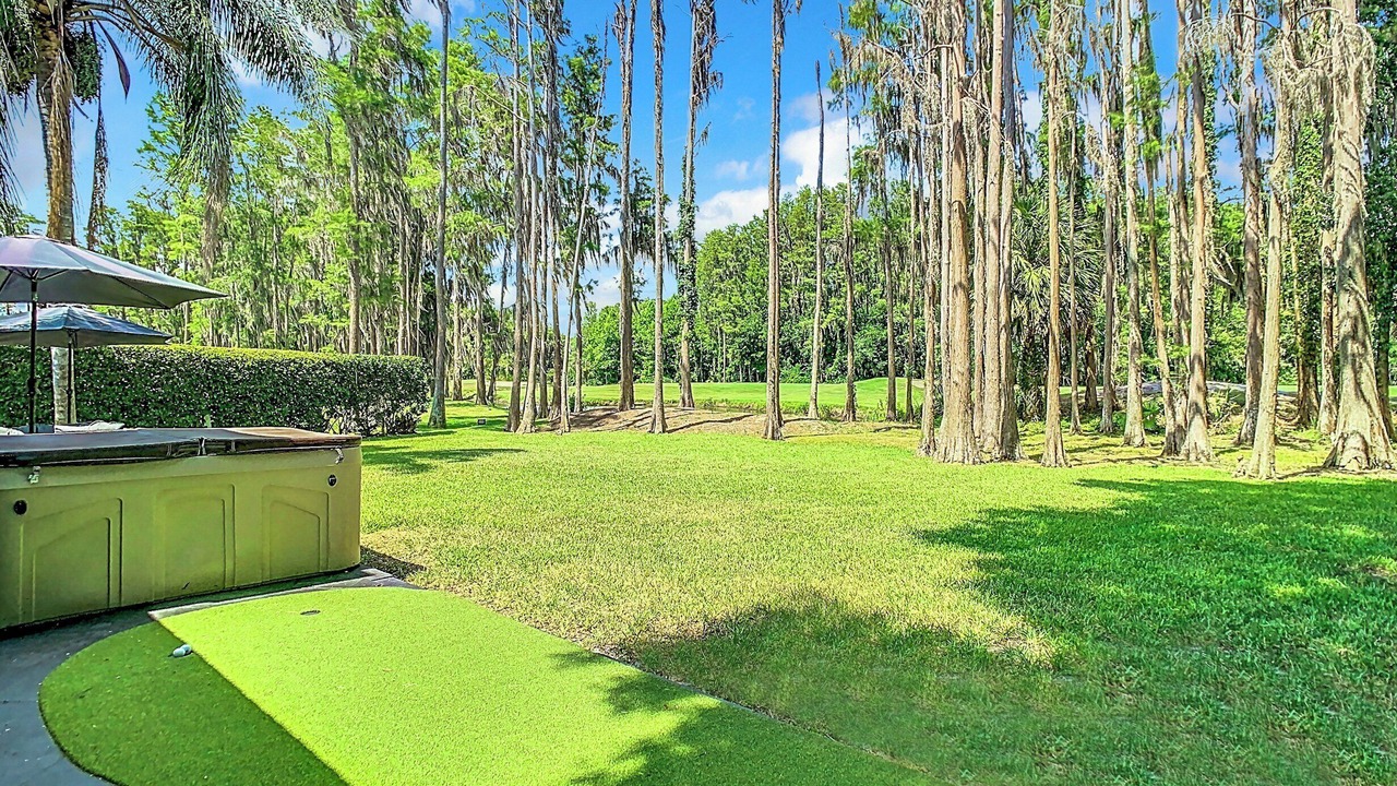 Photo of Outdoor in Saddlebrook