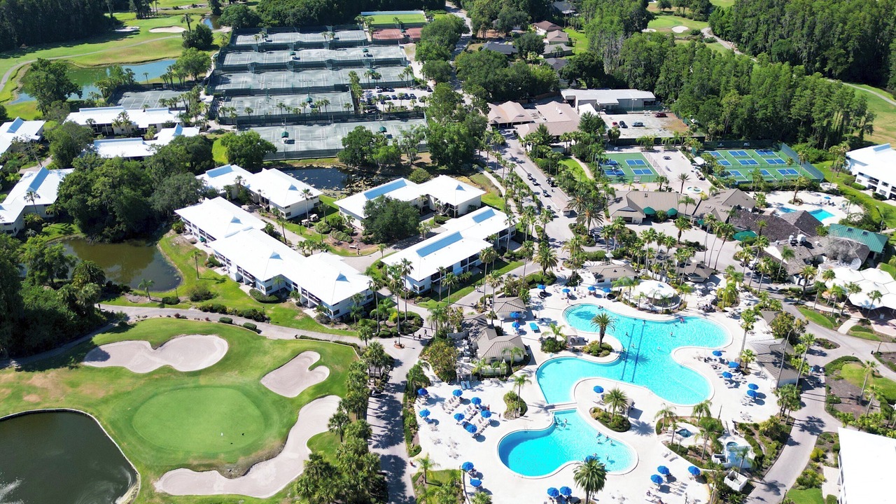 Photo of Outdoor in Saddlebrook
