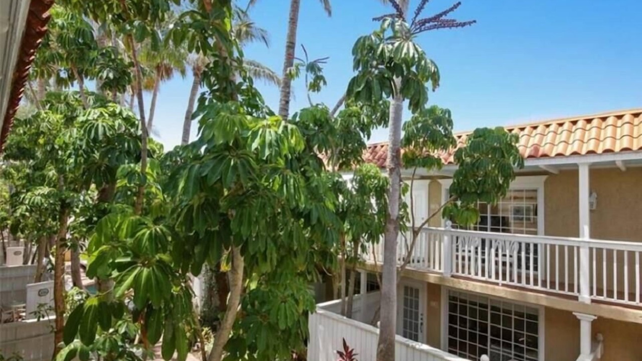 Photo of Outdoor in Bradenton Beach