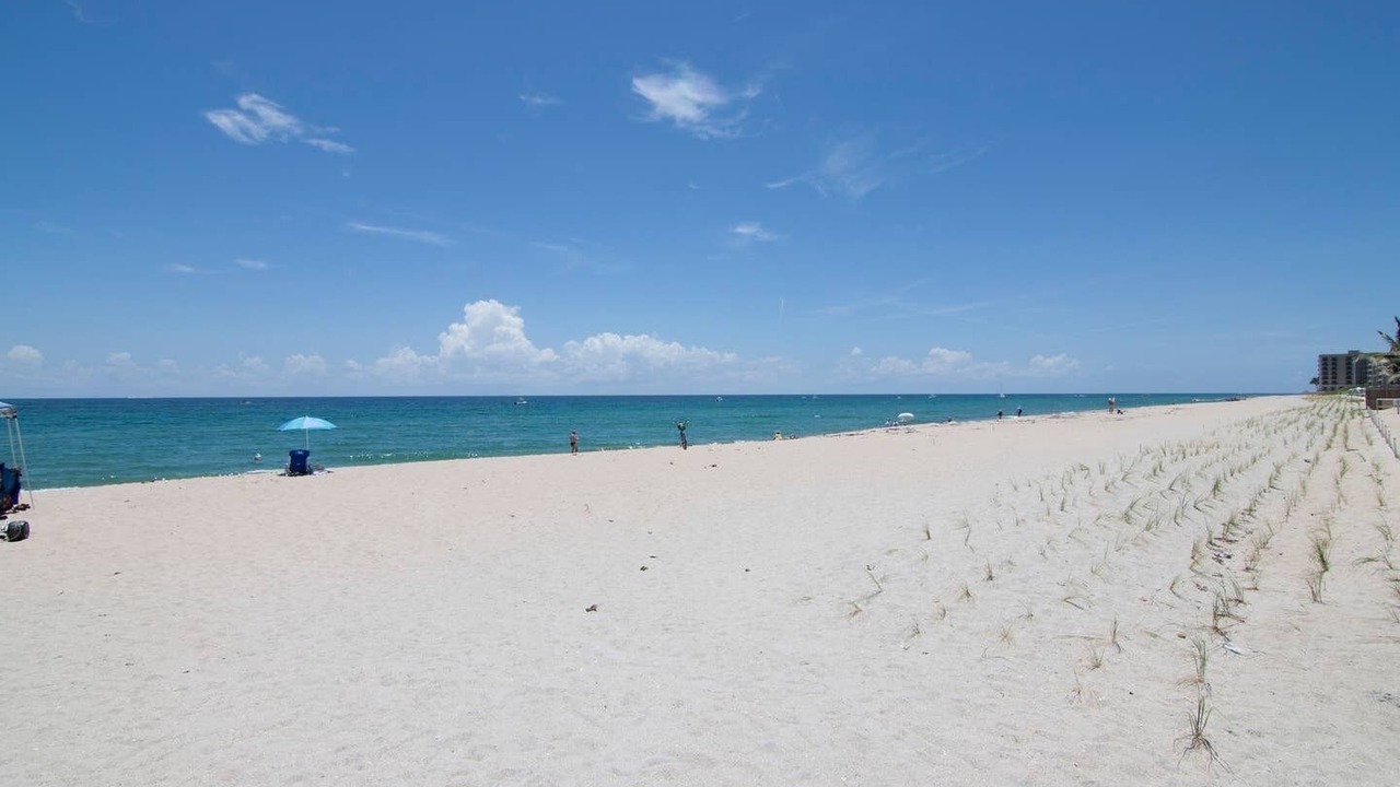 Photo of Others in Palm Beach - West Palm Beach