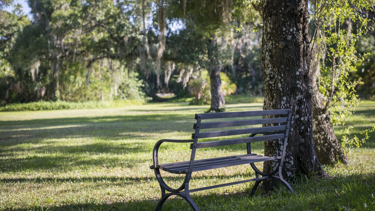 Photo of Outdoor in Braden River