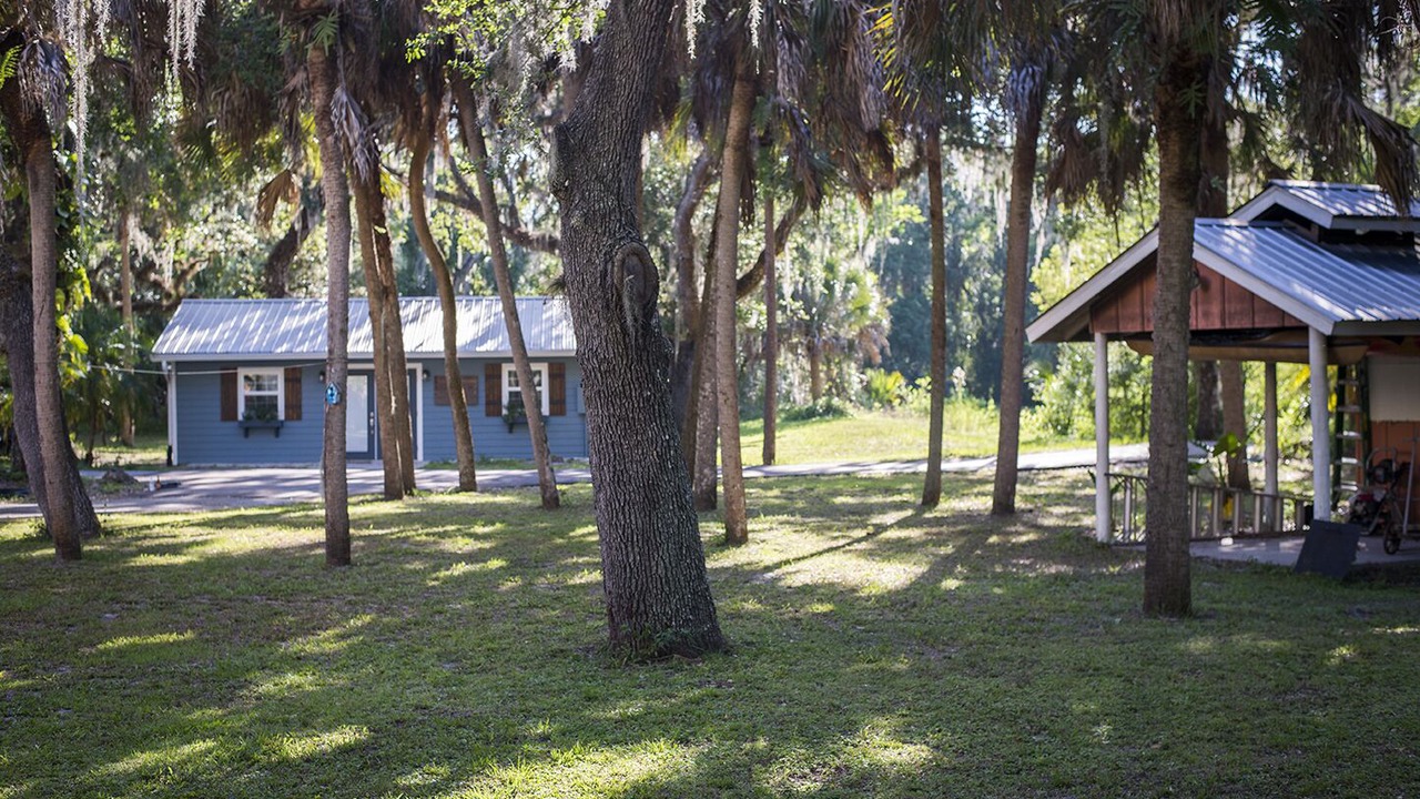 Photo of Outdoor in Braden River