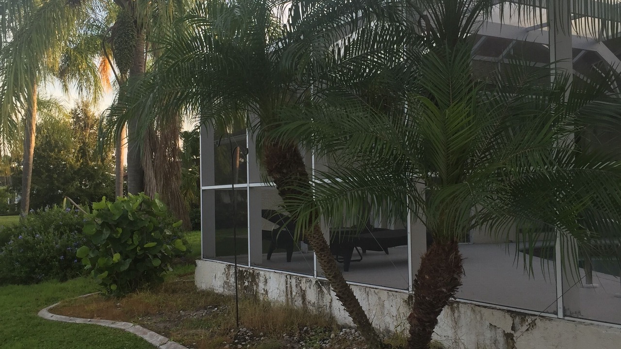 Photo of Outdoor in Port Charlotte