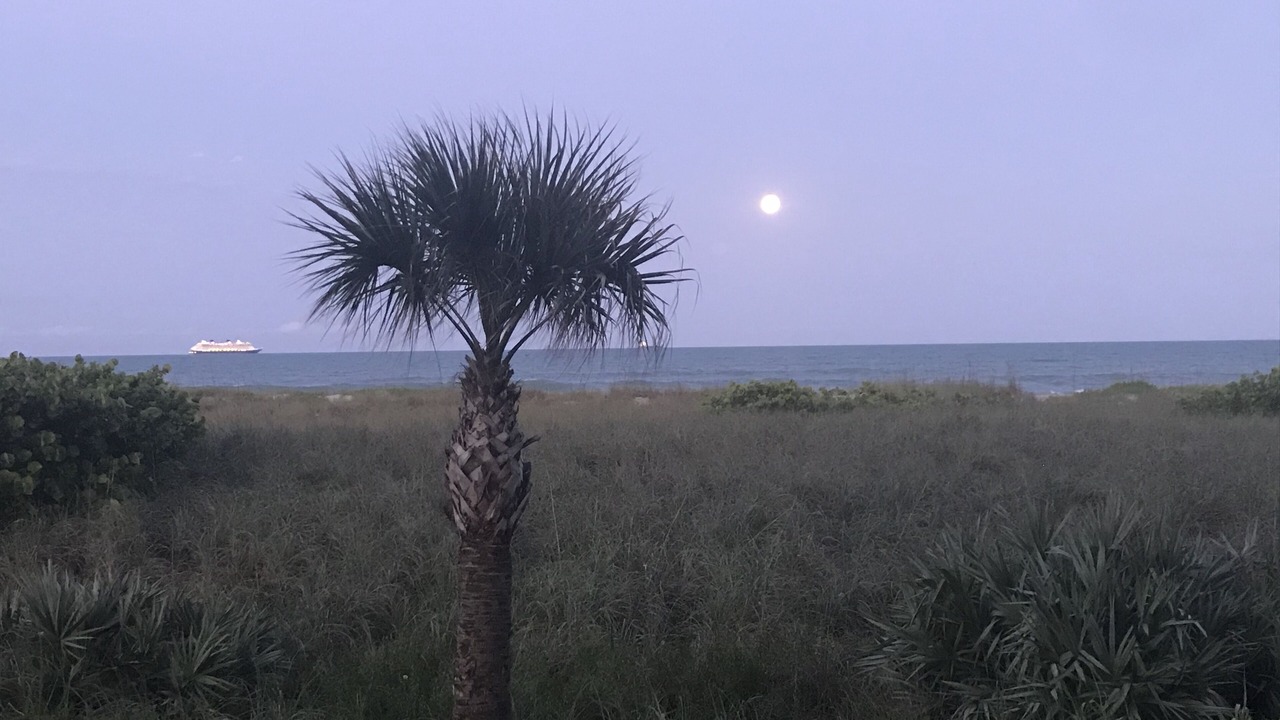 Photo of Others in Cocoa Beach