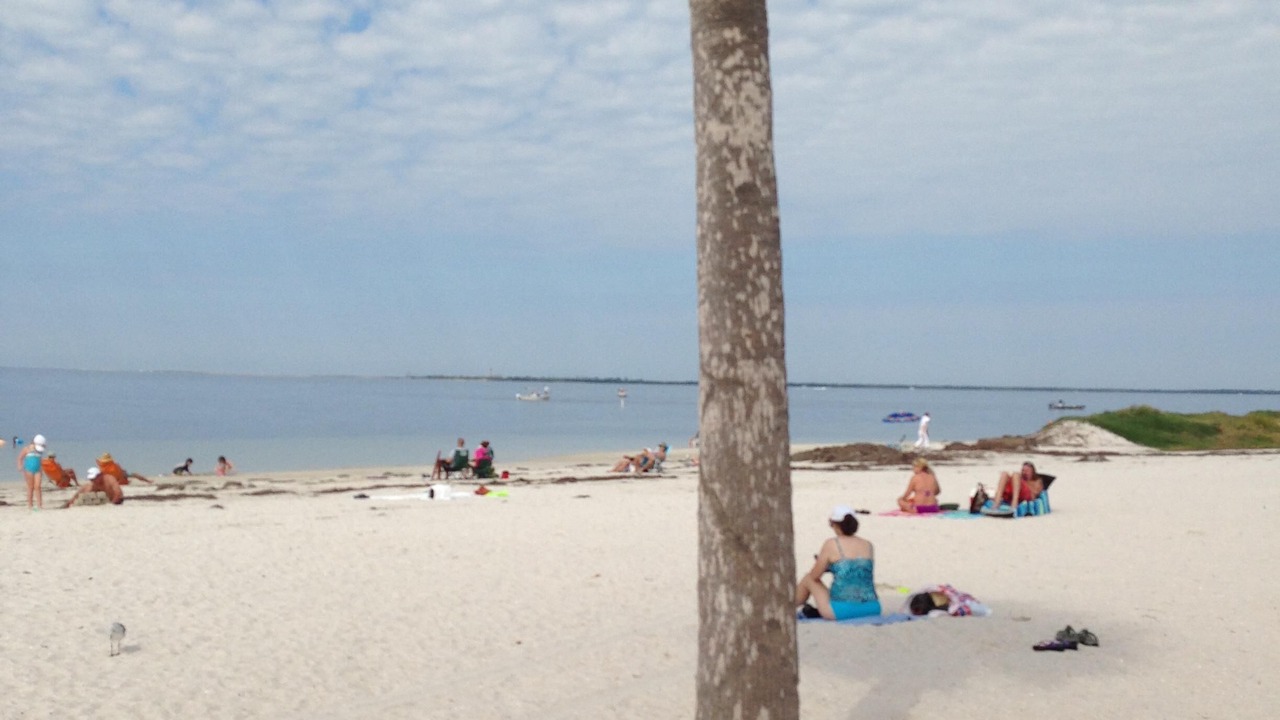 Photo of Others in Tarpon Springs