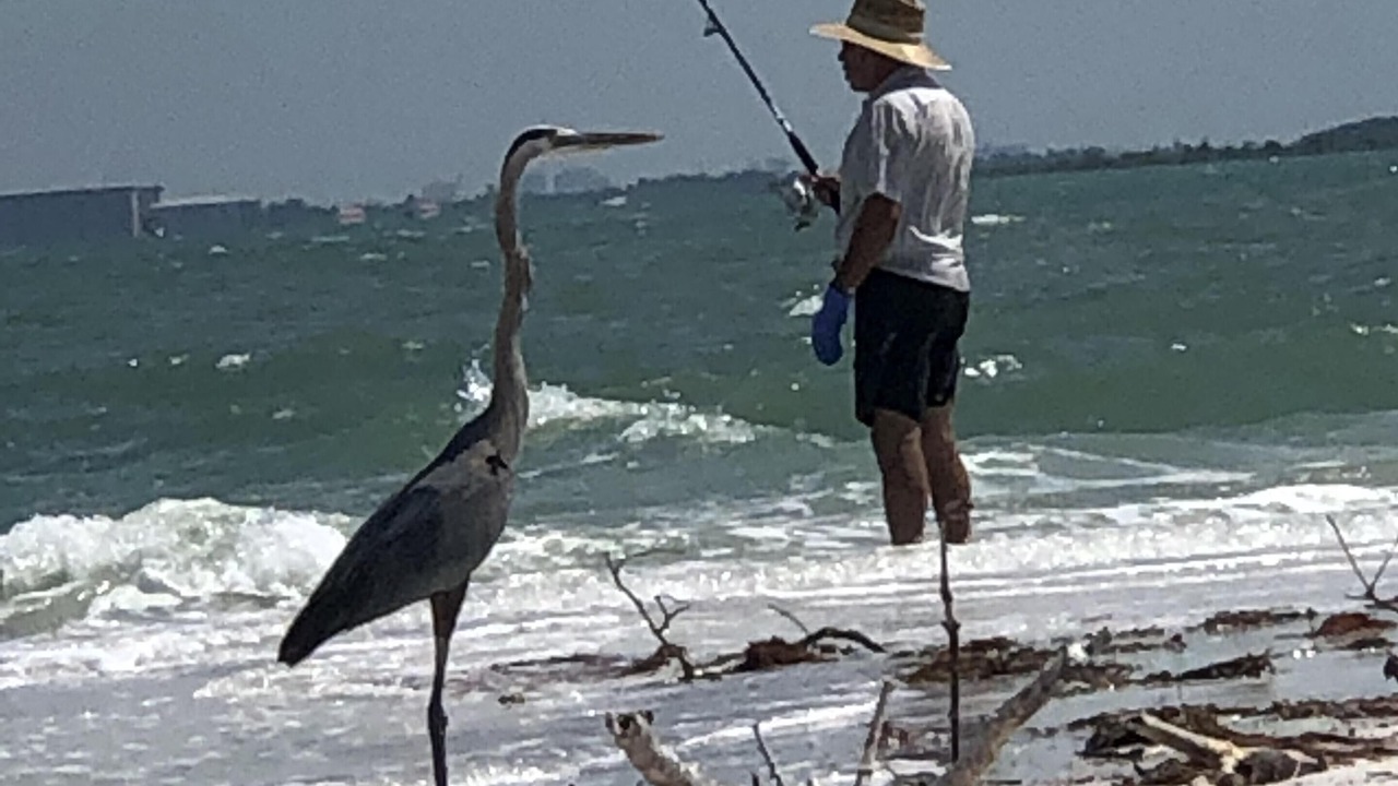 Photo of Others in Tarpon Springs