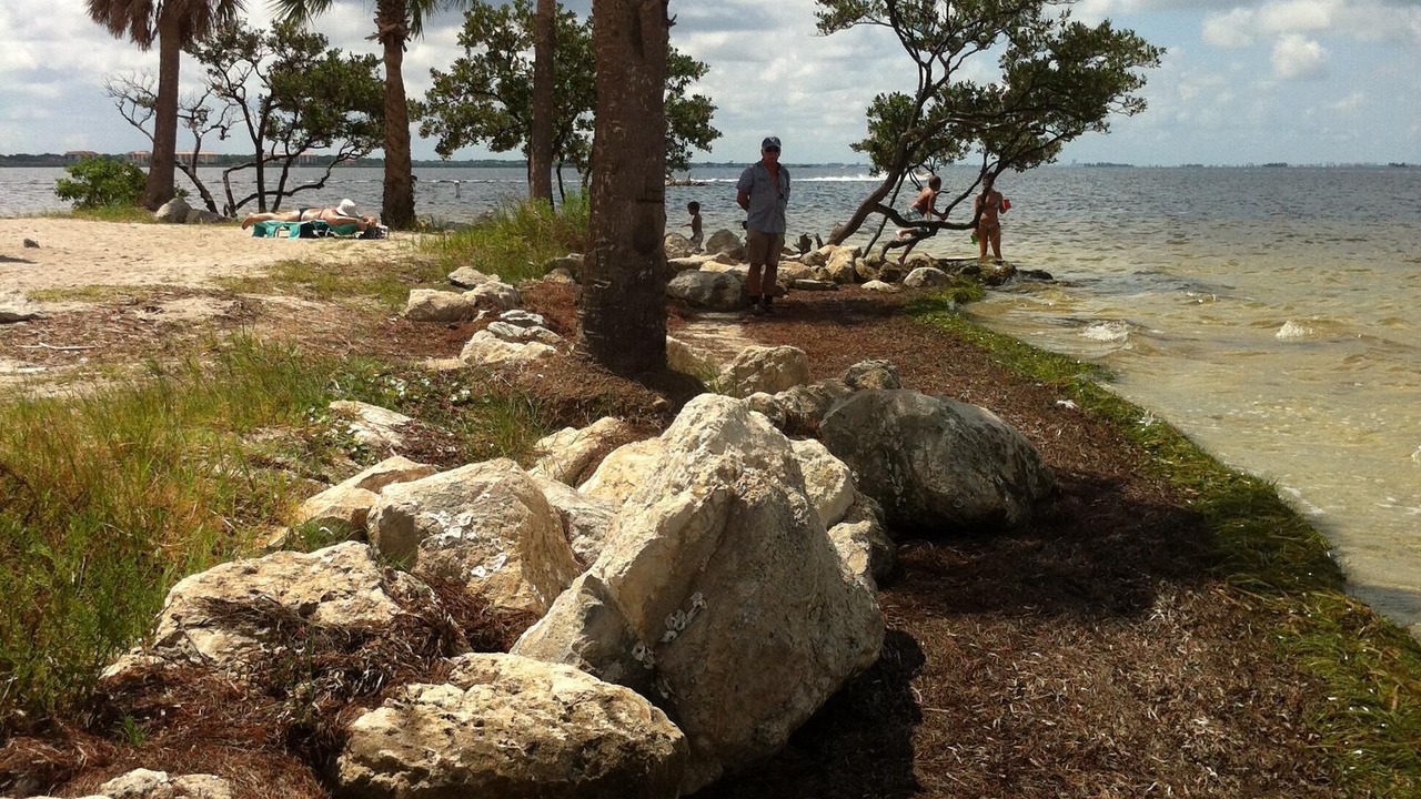 Photo of Others in Tarpon Springs