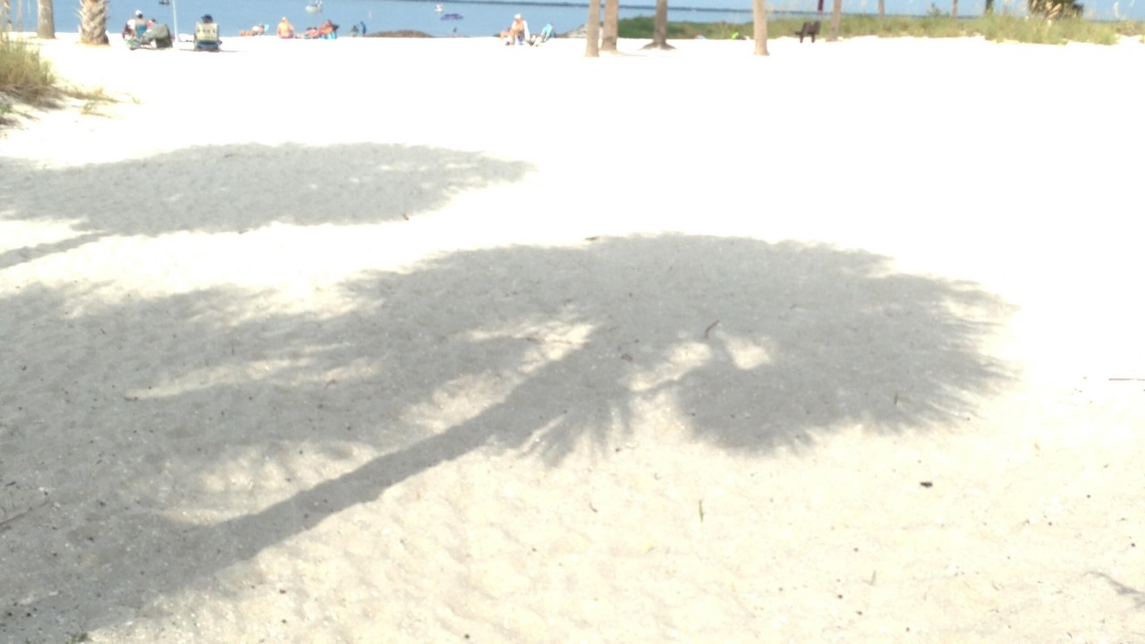 Photo of Others in Tarpon Springs