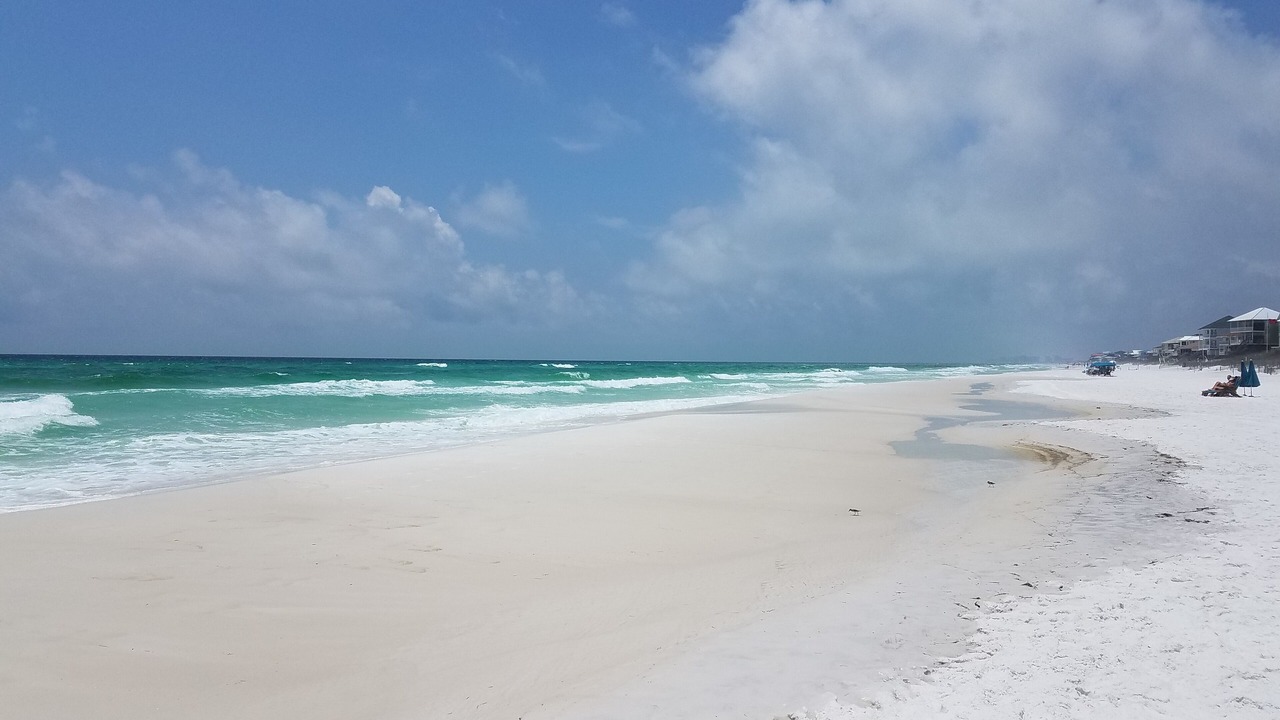 Photo of Others in Dune Allen Beach