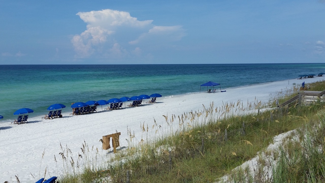 Photo of Others in Dune Allen Beach