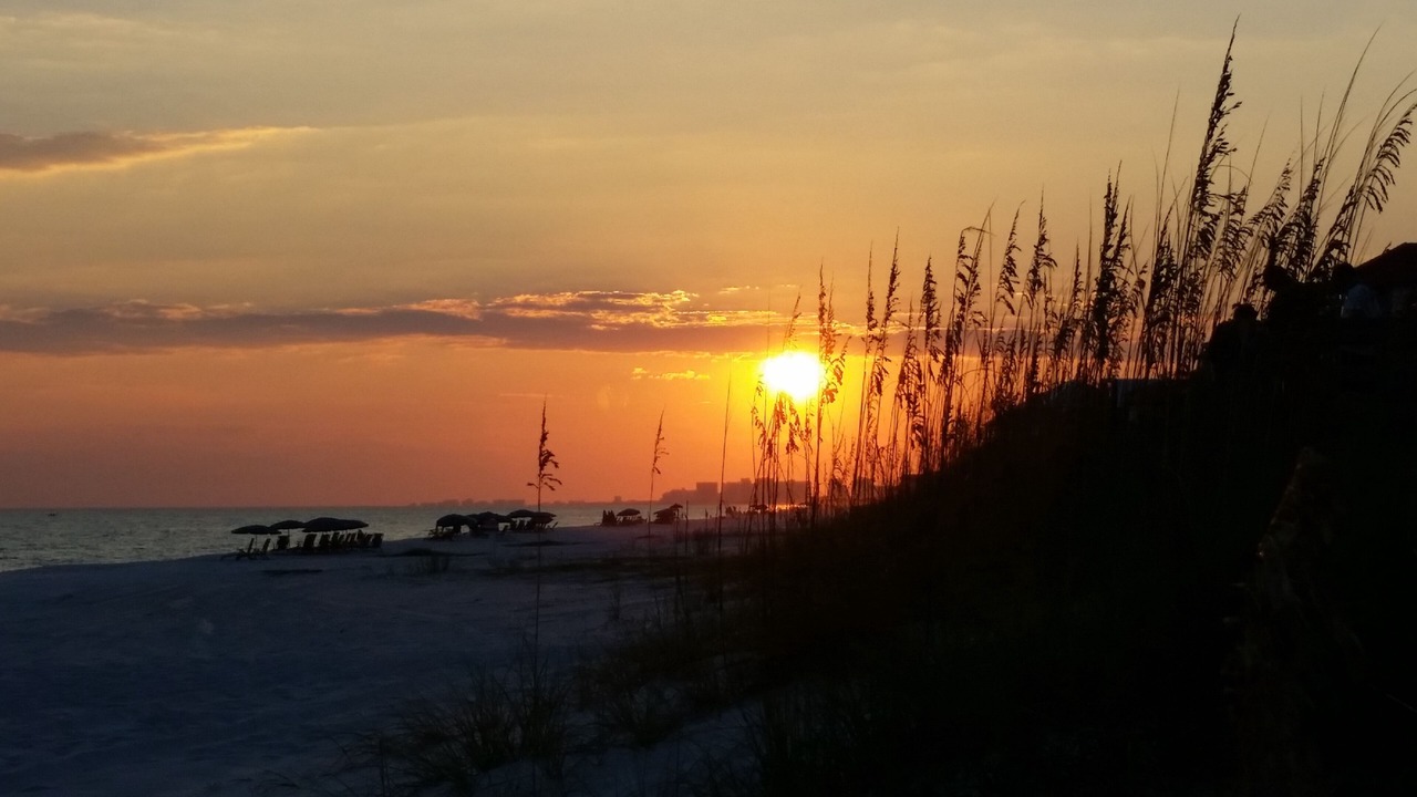 Photo of Others in Dune Allen Beach