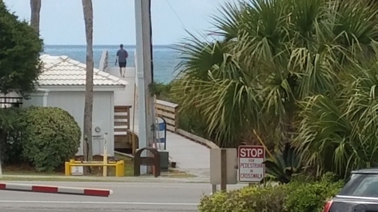 Photo of Others in Dune Allen Beach