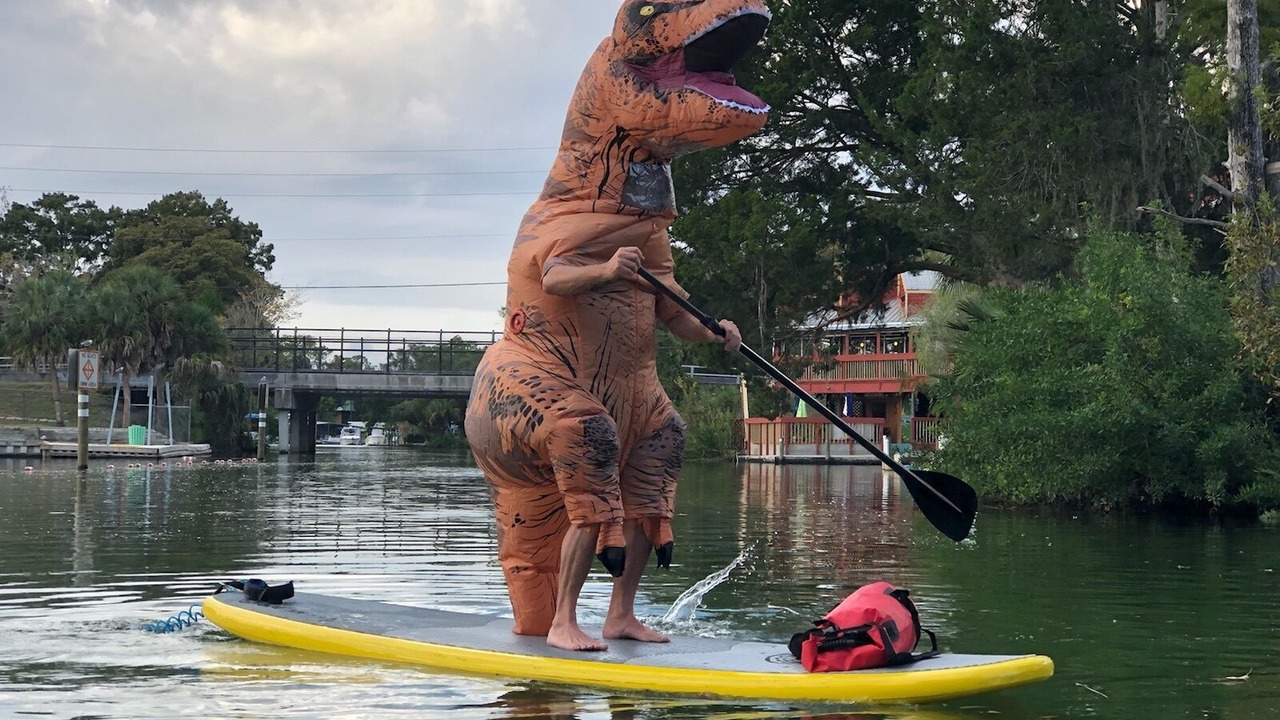 Photo of Others in Weeki Wachee Gardens