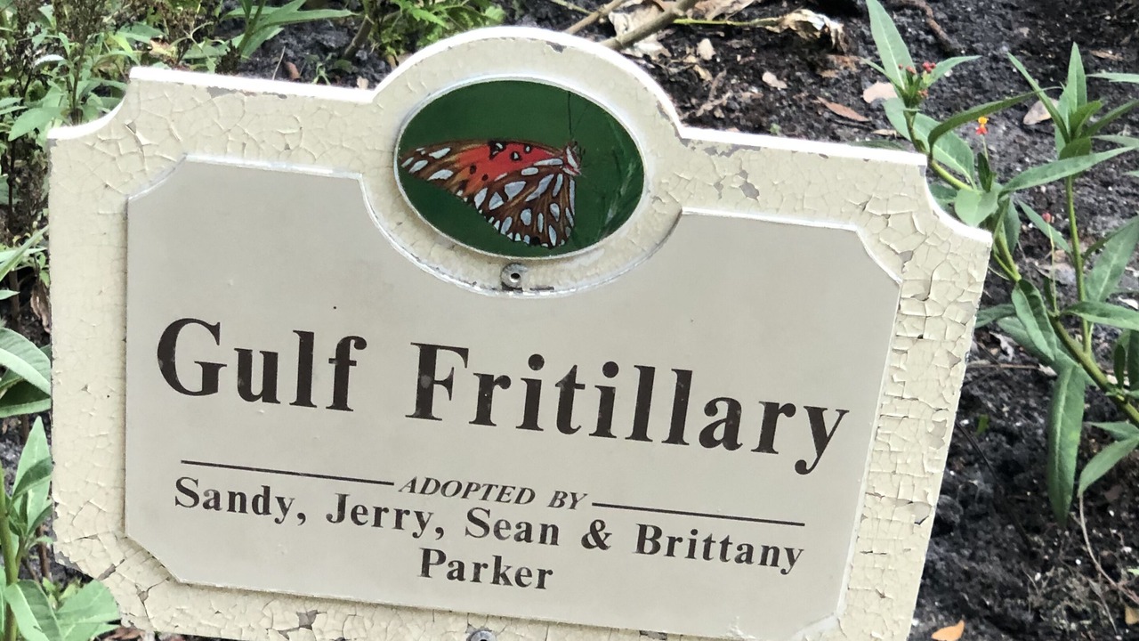 Photo of Others in Bonita Bay