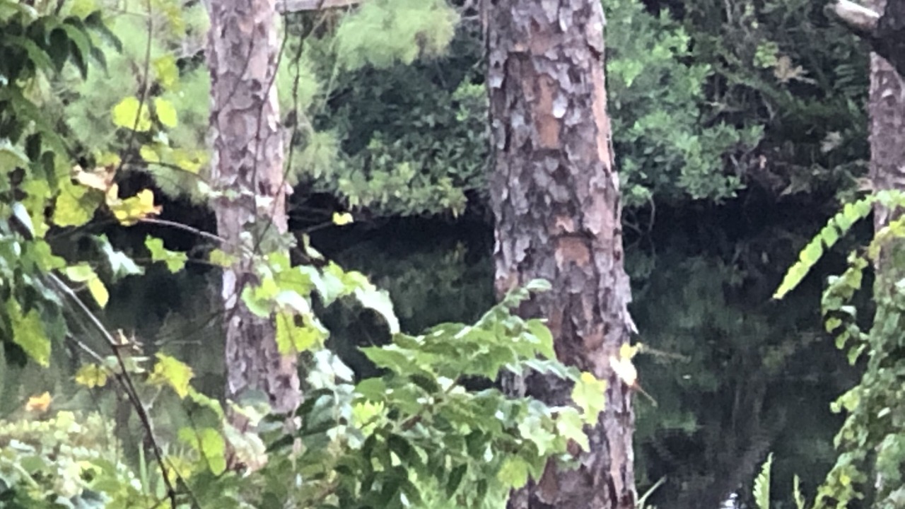 Photo of Outdoor in Bonita Bay