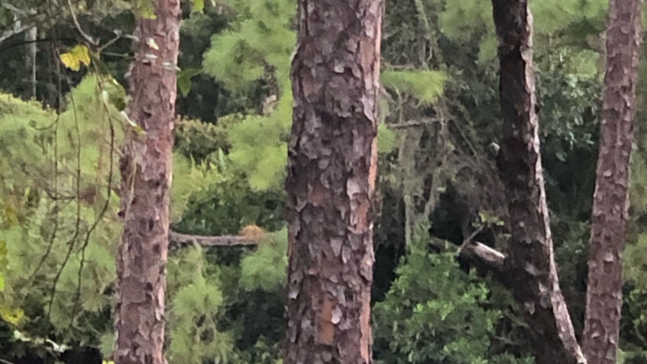 Photo of Outdoor in Bonita Bay
