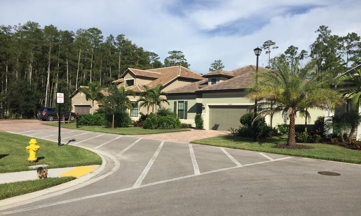 Photo of Outdoor in Estero