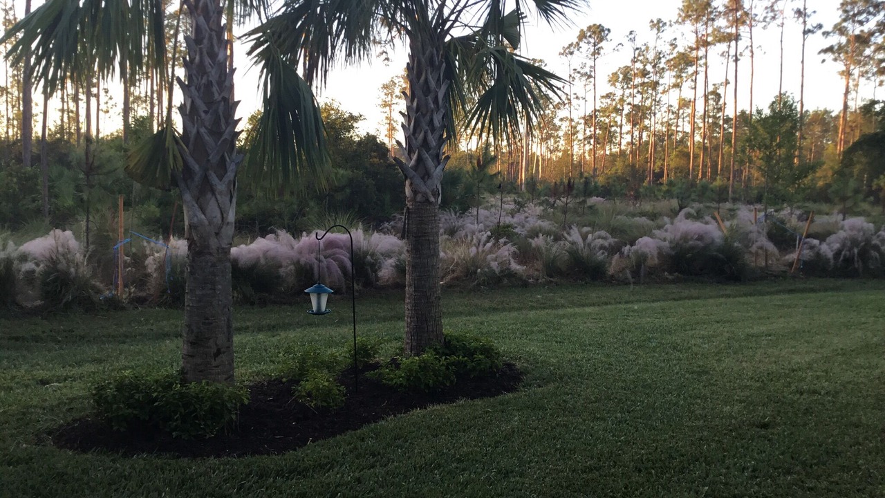 Photo of Outdoor in Estero