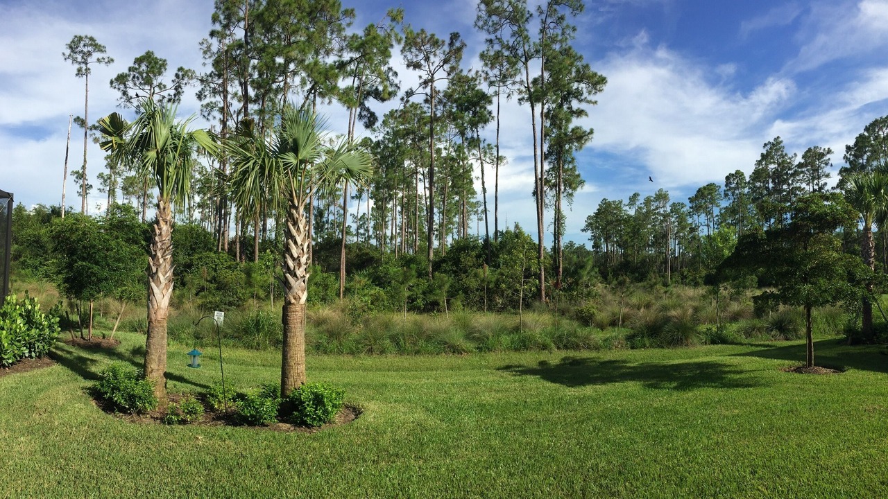 Photo of Outdoor in Estero