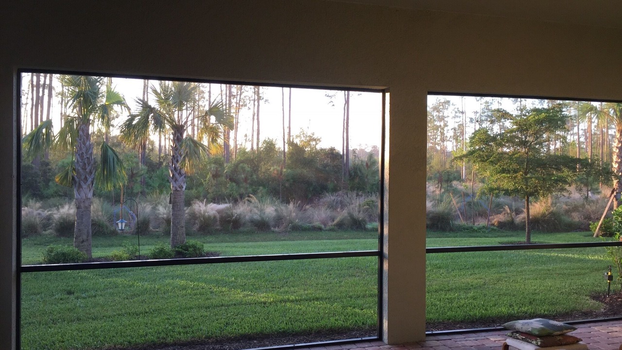 Photo of Others in Estero