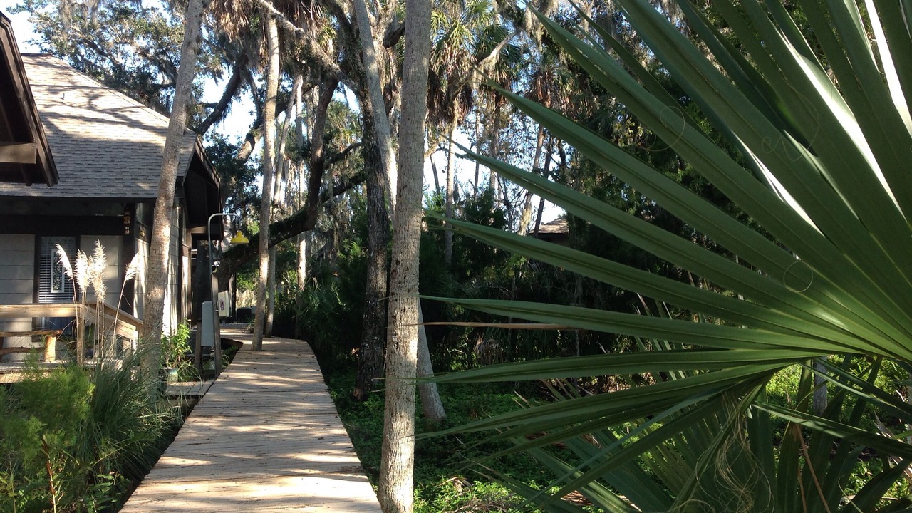 Photo of Others in Crystal River