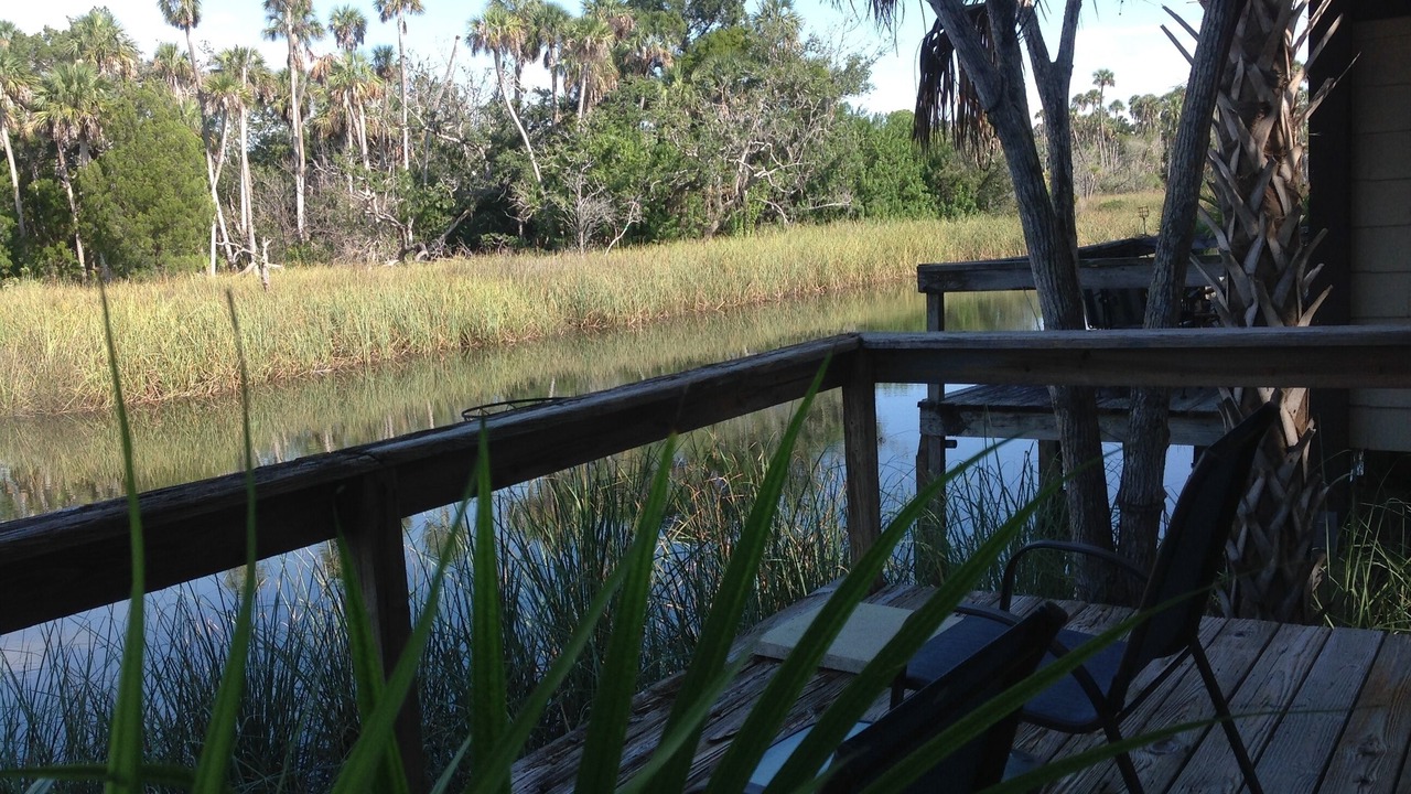 Photo of Others in Crystal River