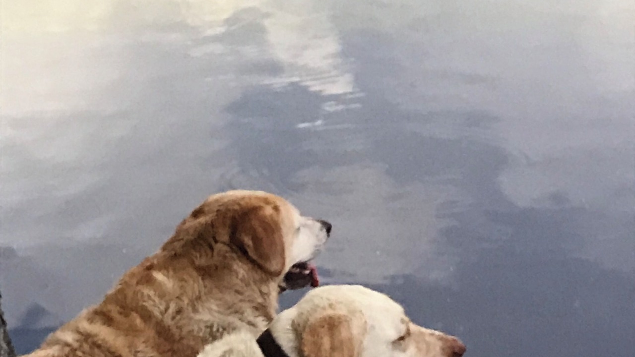 Photo of Others in Citrus Springs