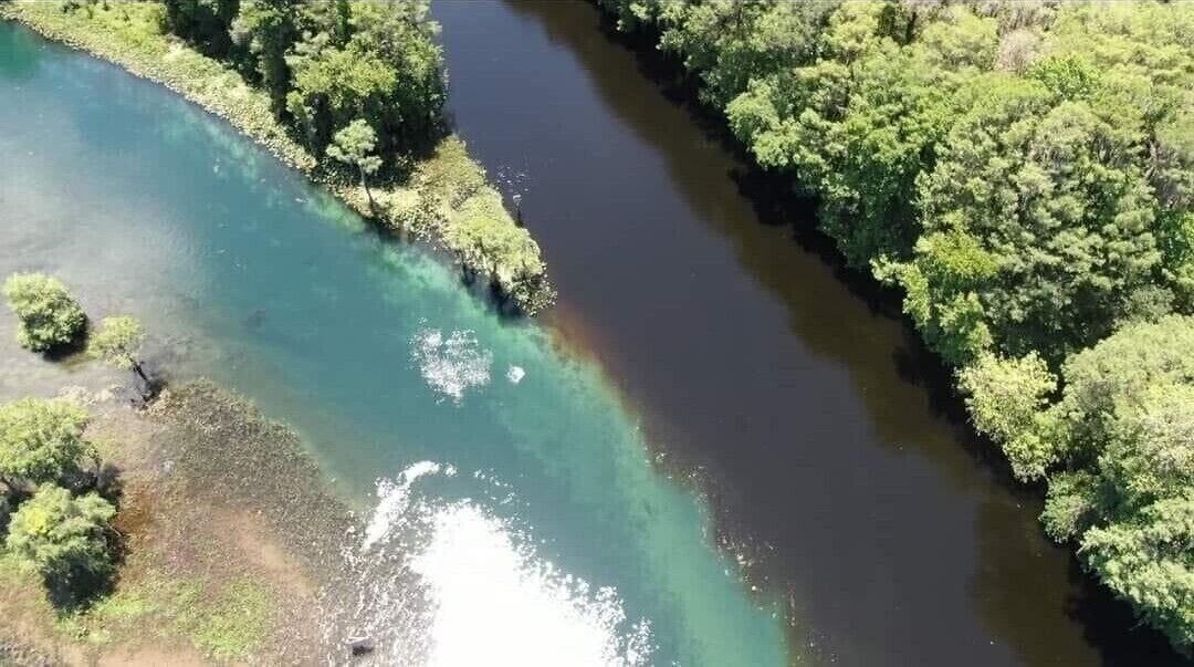 Photo of Outdoor in Citrus Springs