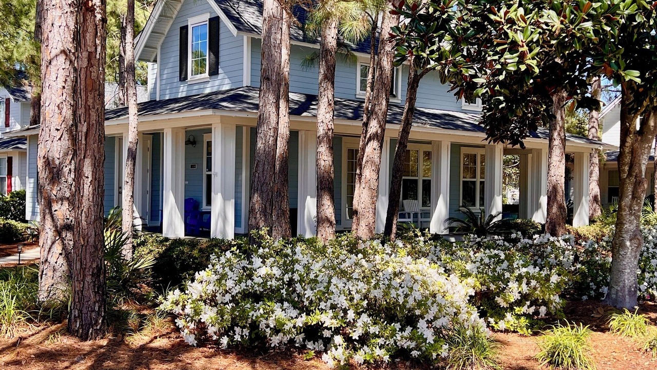Photo of Outdoor in Laurel Grove