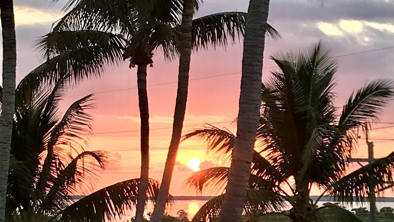 Photo of Patio Balcony in Islamorada
