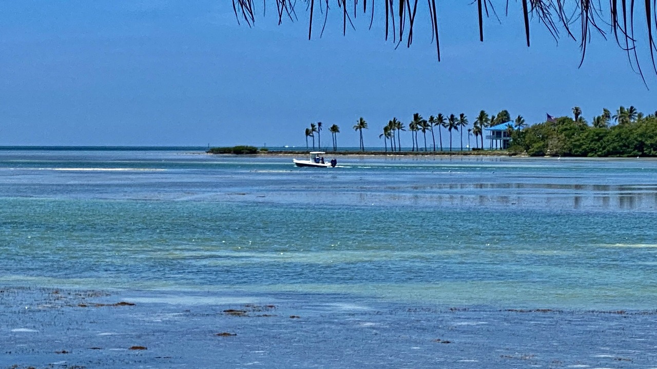 Photo of Others in Islamorada