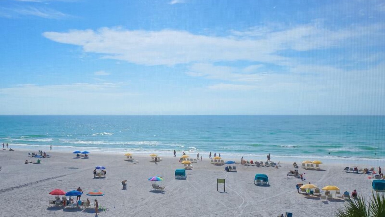 Photo of Others in Siesta Key