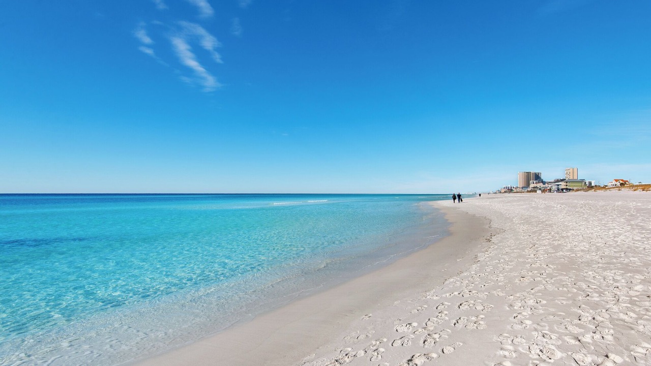 Photo of Others in Gulf Pines