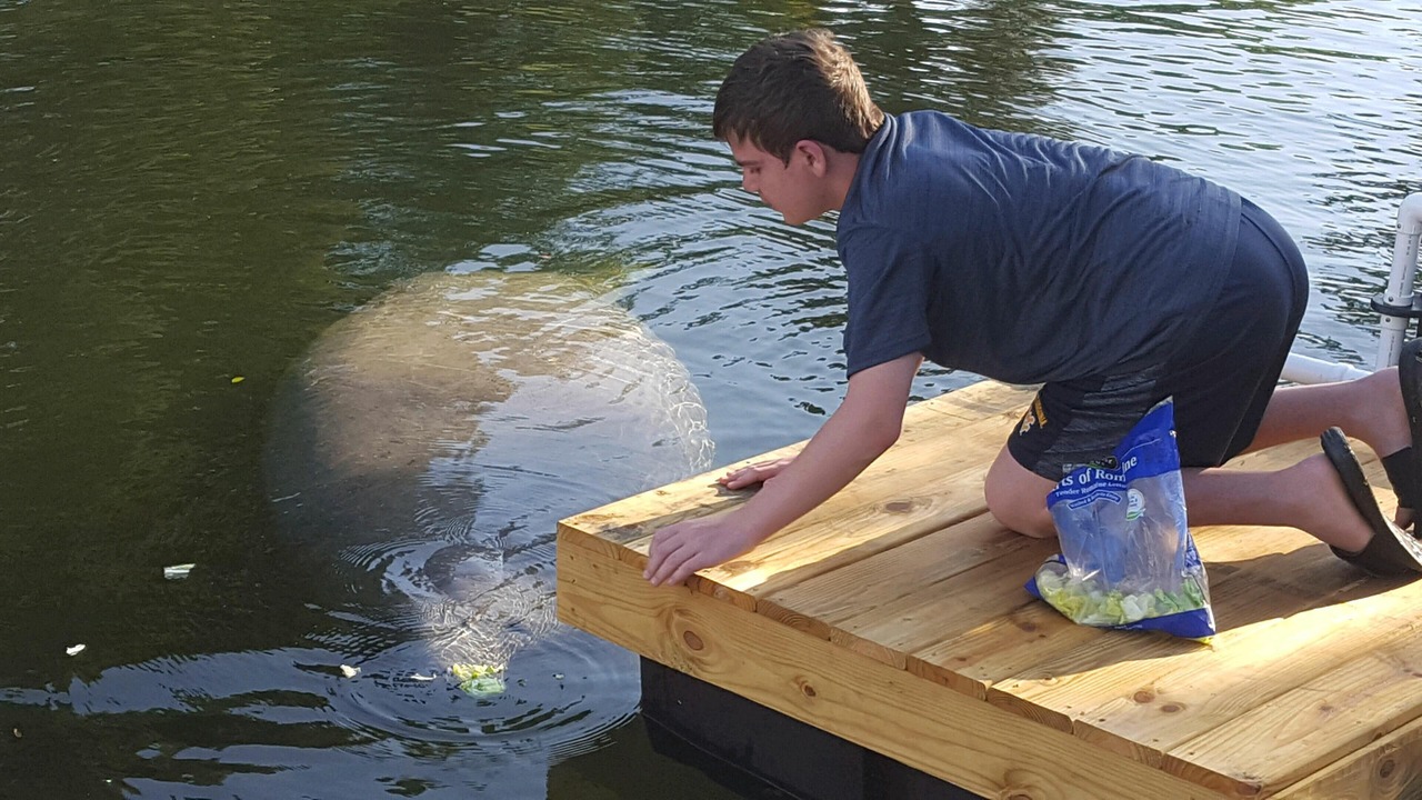Photo of Others in Weeki Wachee Gardens