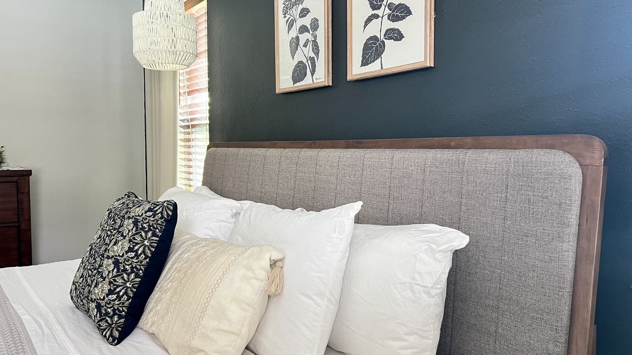 Photo of Bedroom in Dunedin