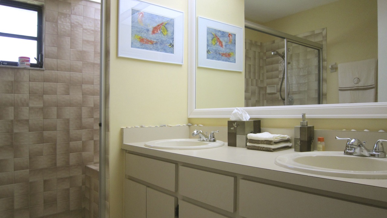 Photo of Bathroom in Joel