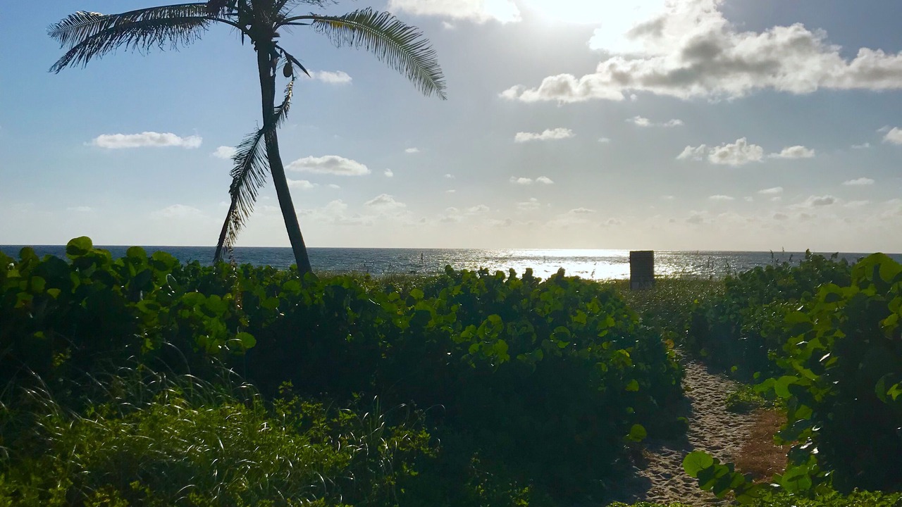 Photo of Others in Delray Beach