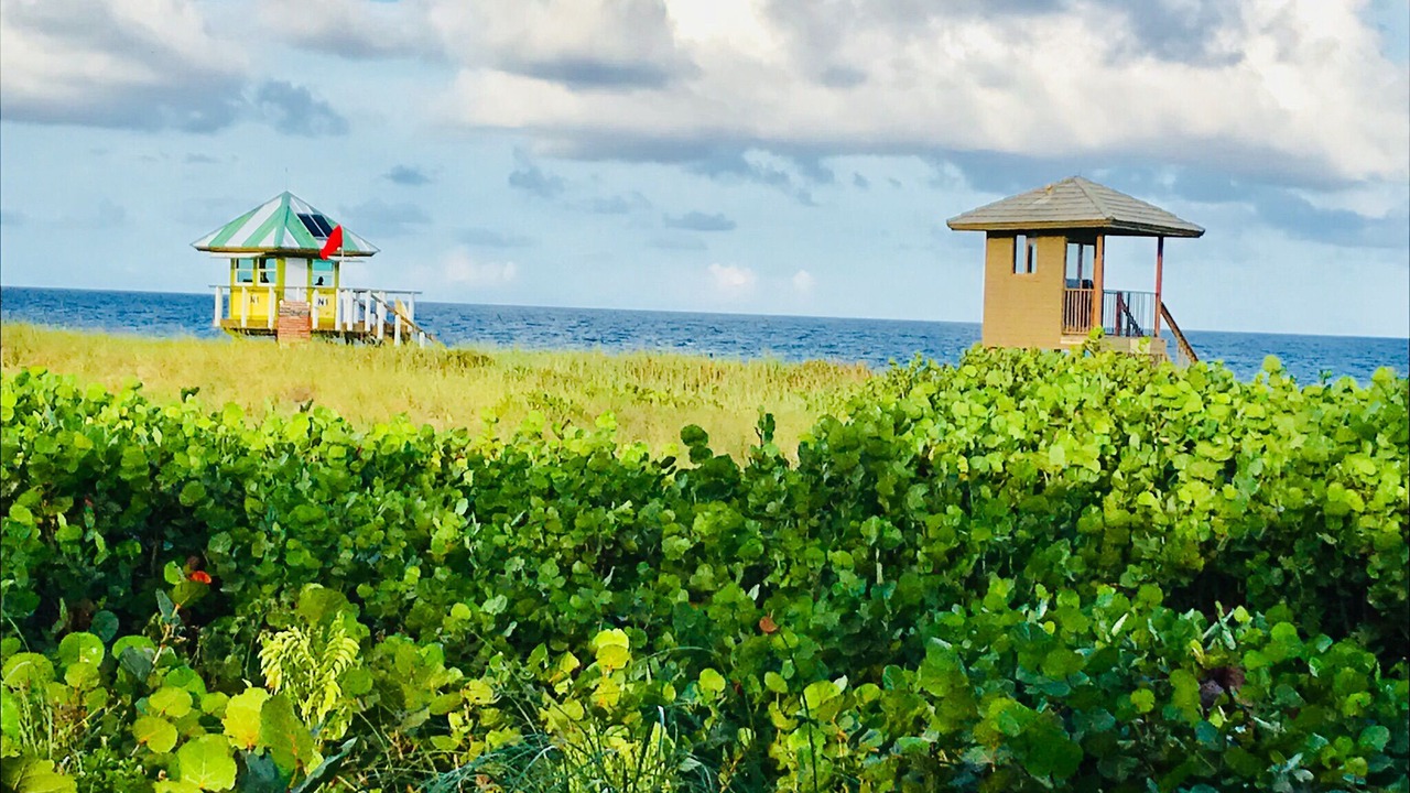 Photo of Outdoor in Delray Beach