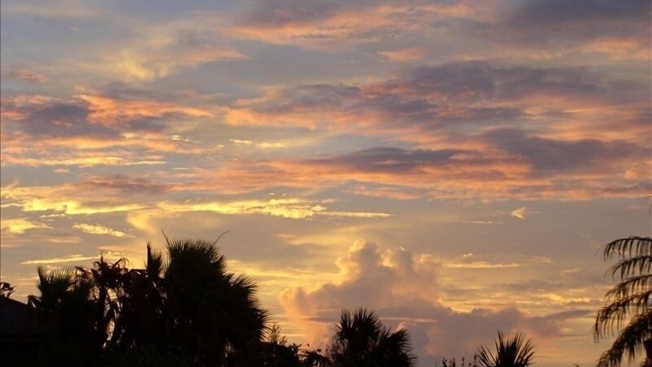 Photo of Others in Sanibel