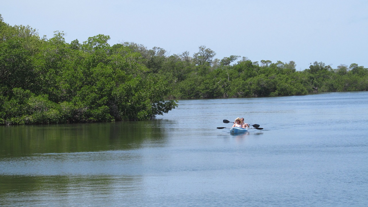Photo of Others in Sanibel