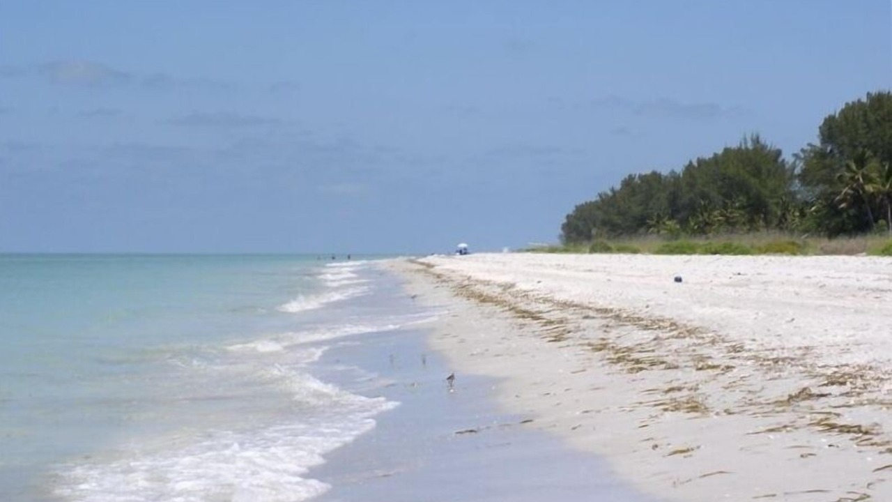 Photo of Others in Sanibel