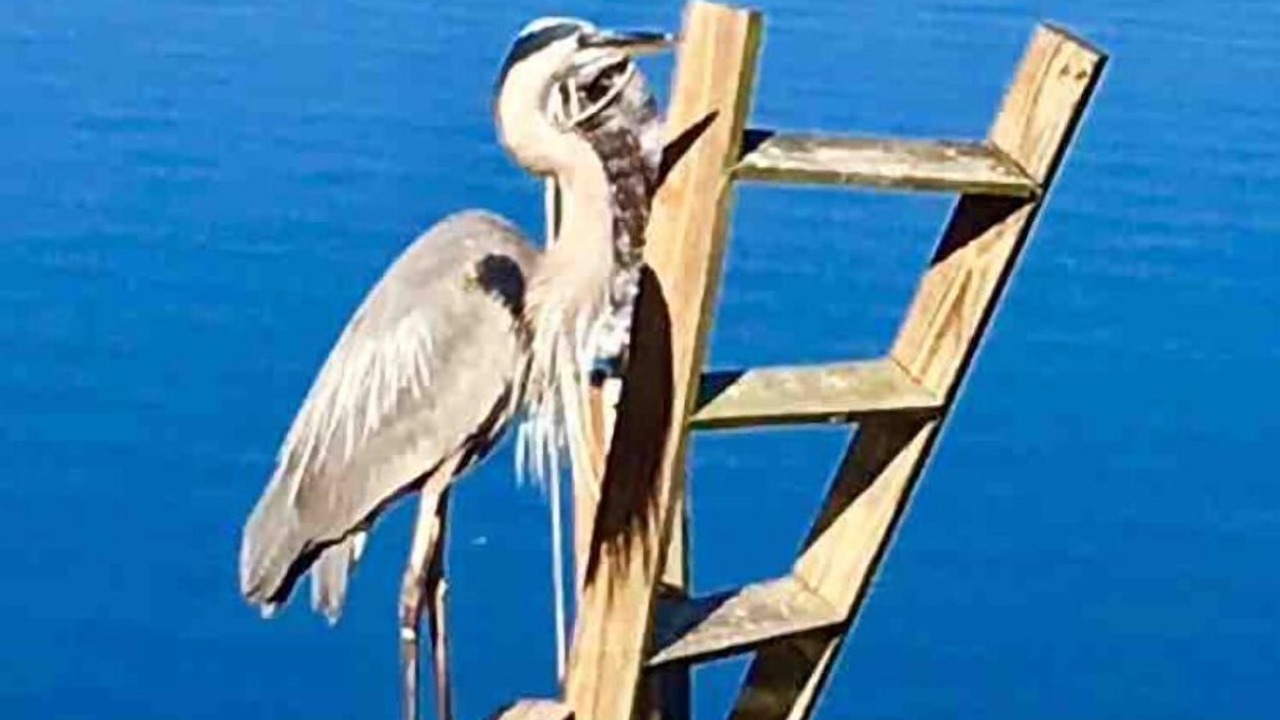 Photo of Outdoor in Driftwood Isles