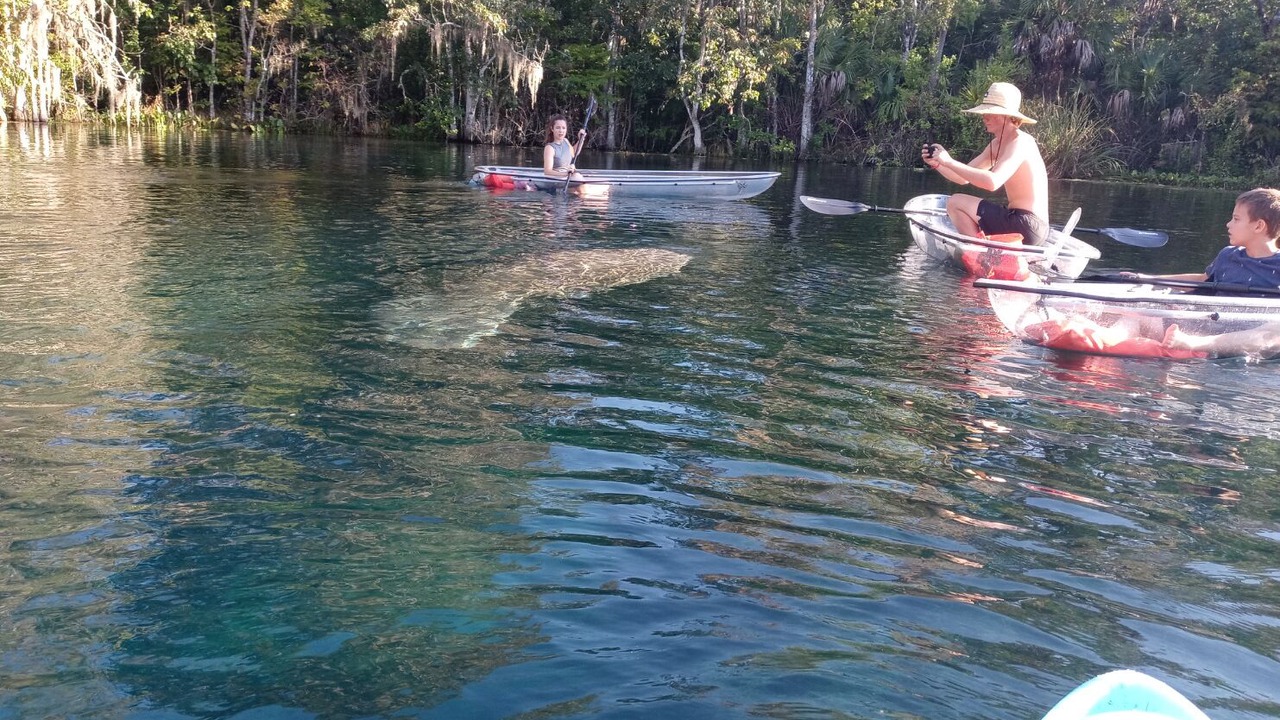 Photo of Outdoor in Crystal River